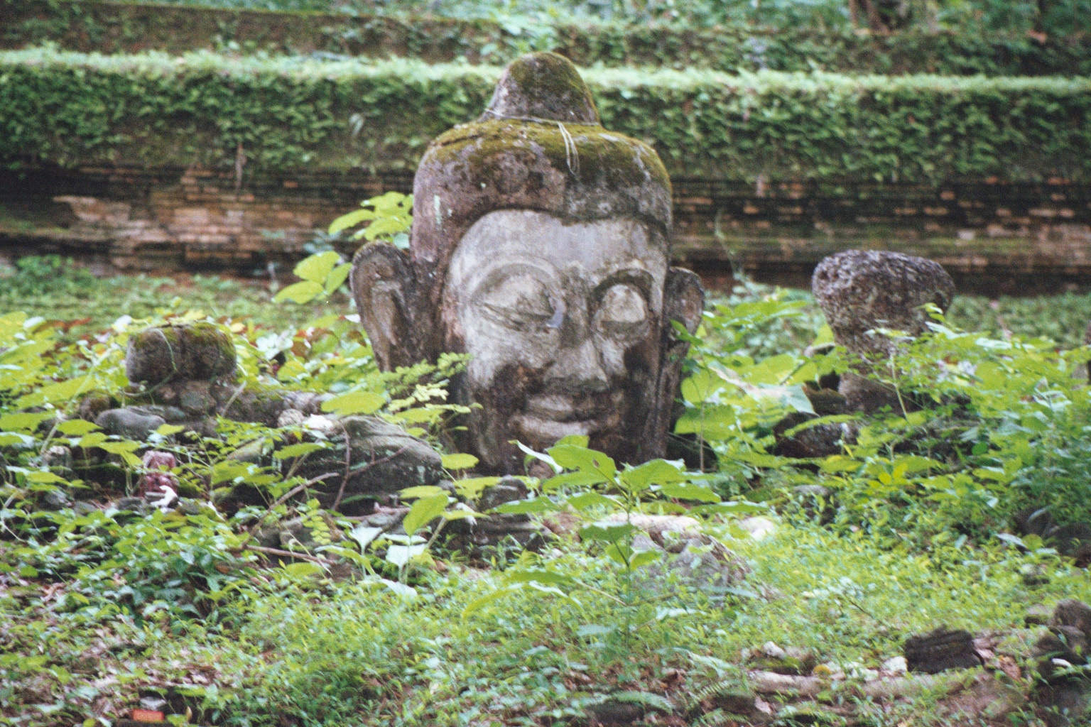 Ancient Forrest Wat, Chiang Mai