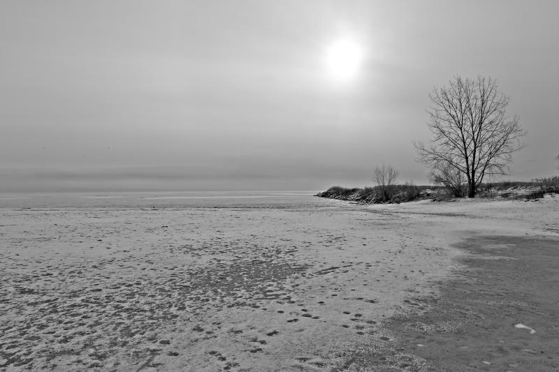 In the Bleak Mid Winter.jpg