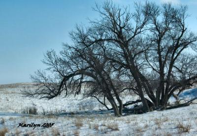'nestled into the hill ... '