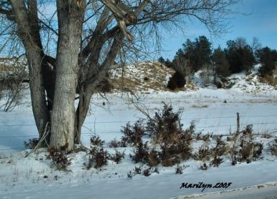 u14/mzm/medium/38682821.nordenarea52.jpg