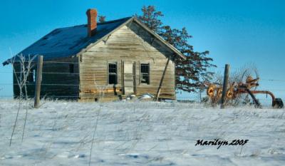 'old homestead .... '