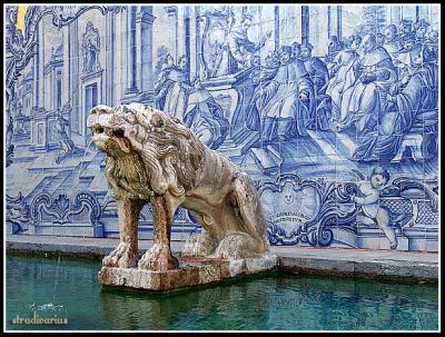 u14/nbeirao/medium/41770065.CoastofLisbon066b.jpg