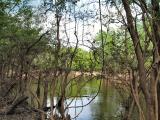 Down On The Creek