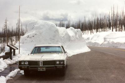 u14/ngruev/medium/38717169.95_YellowStone_1.jpg