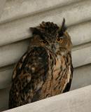 Img_2414.jpgkomp15.jpg