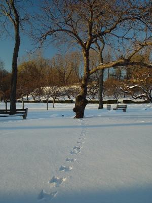 DSC00628rs.jpg