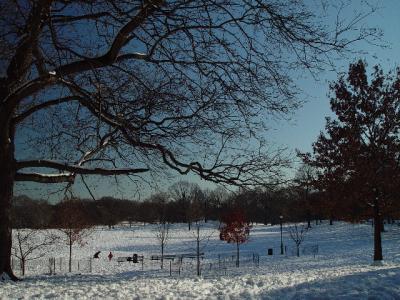 DSC00528rs.jpg