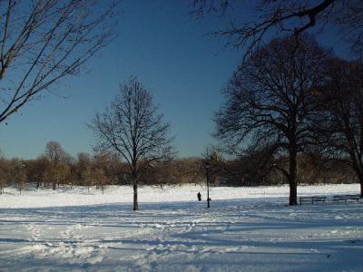 DSC00529rs.jpg
