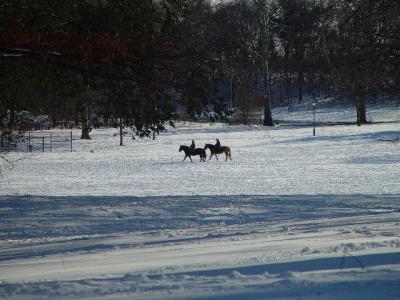DSC00532rs.jpg