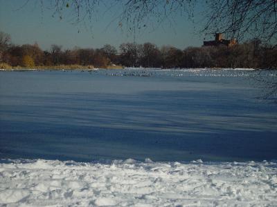 DSC00541rs.jpg
