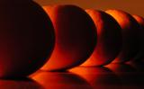 <b>5th Place</b><br><br>Orange Umbra <br>by AutumnSky