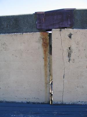 u14/papelumich/medium/41786601.IMG_0073.jpg