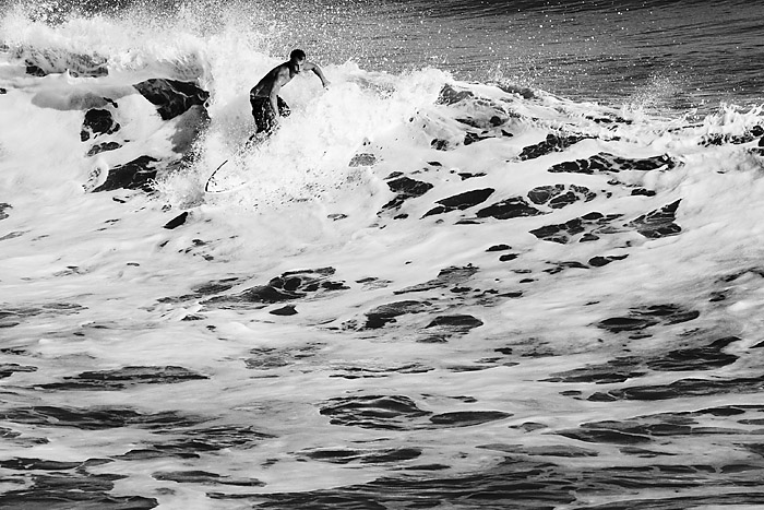 CRW_1874 bw.jpg