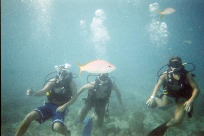 pat_dive_pics