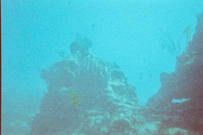 012_9A.JPG