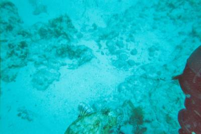 015_12A.JPG