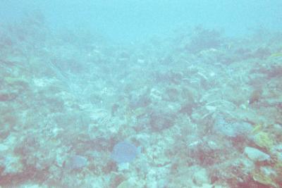 025_22A.JPG