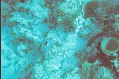 015_12A.JPG