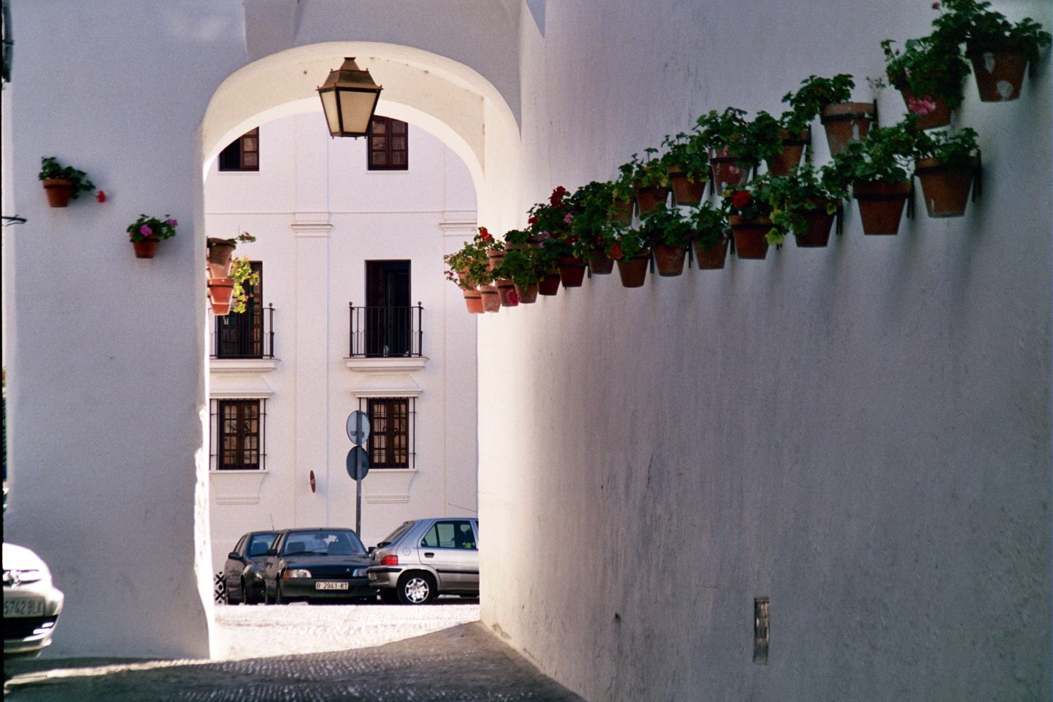 hanging pots arco.JPG