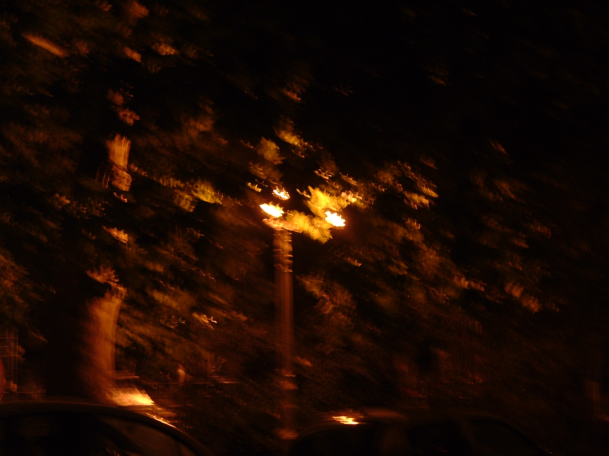 DSCF0393.JPG