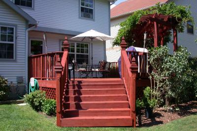 Day after staining