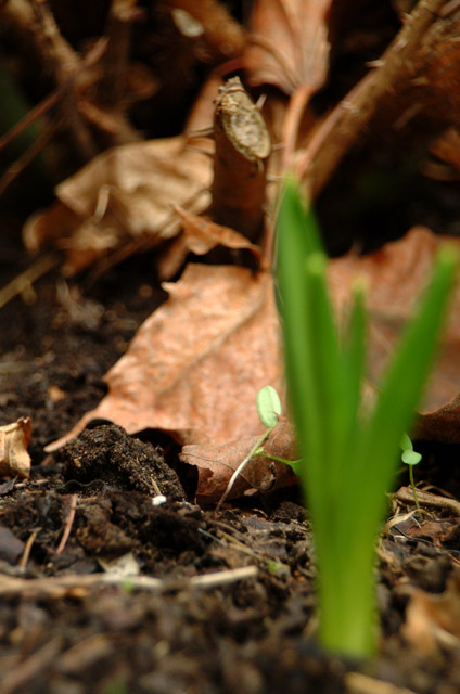 DSCF1579.jpg