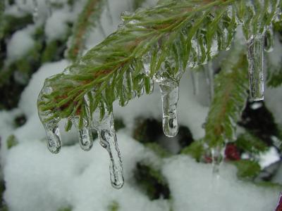 17nov11.jpg