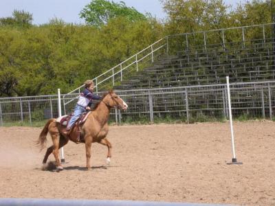 u14/petesie/medium/41837366.2.jpg