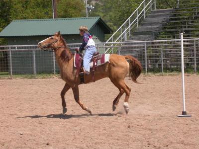 u14/petesie/medium/41837367.3.jpg