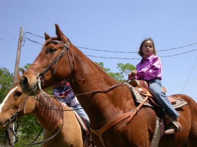 u14/petesie/medium/41837418.12.jpg