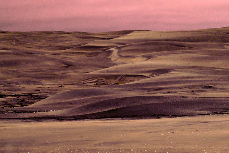 Sand dunes - Farewell Spit