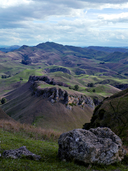 View from Te Mata Peak (3)