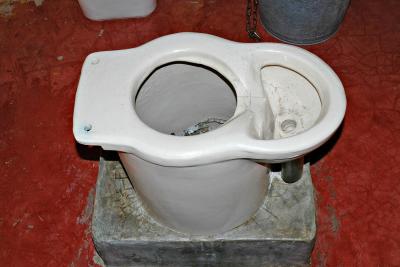 Ecological toilet in park