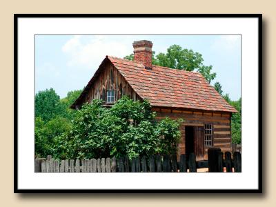 Log House with Fig Bush