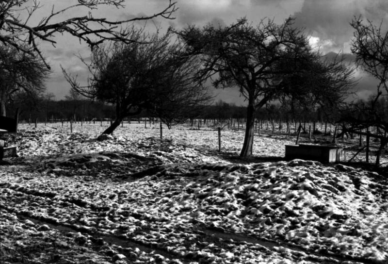 paysage d'hiver belbeuf en normandie