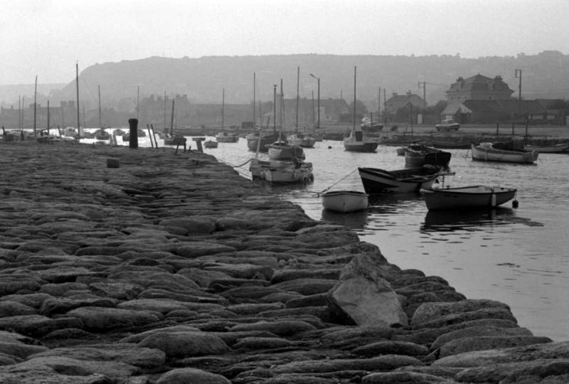 paysage cotentin 1981