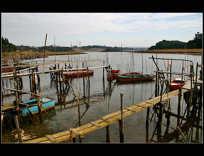 11.01.2005 ... Little wood port ... Foz do Arelho - Portugal