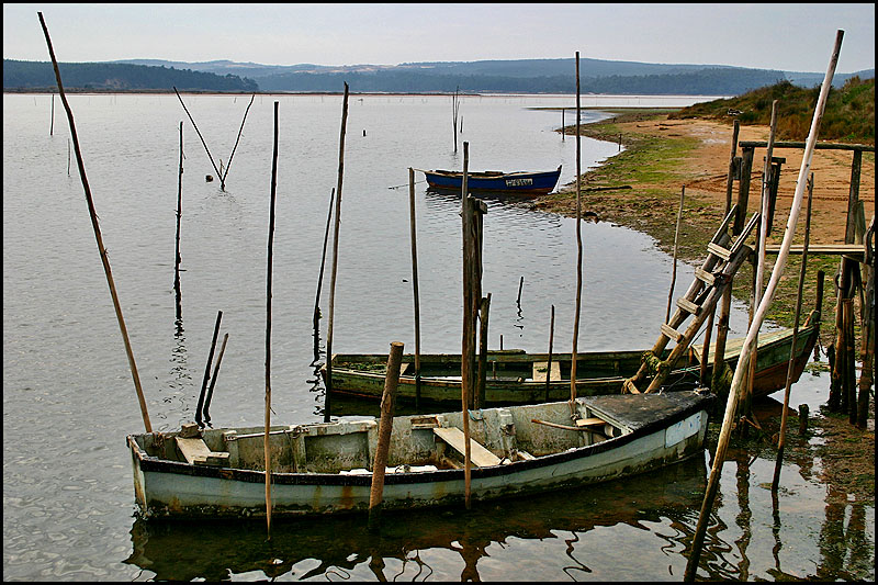 11.01.2005 ... Waiting to go ... Foz do Arelho - Portugal