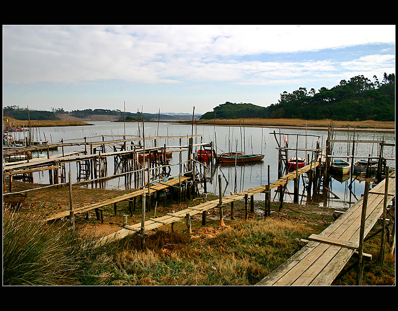 11.01.2005 ... Little wood port II ... Foz do Arelho - Portugal