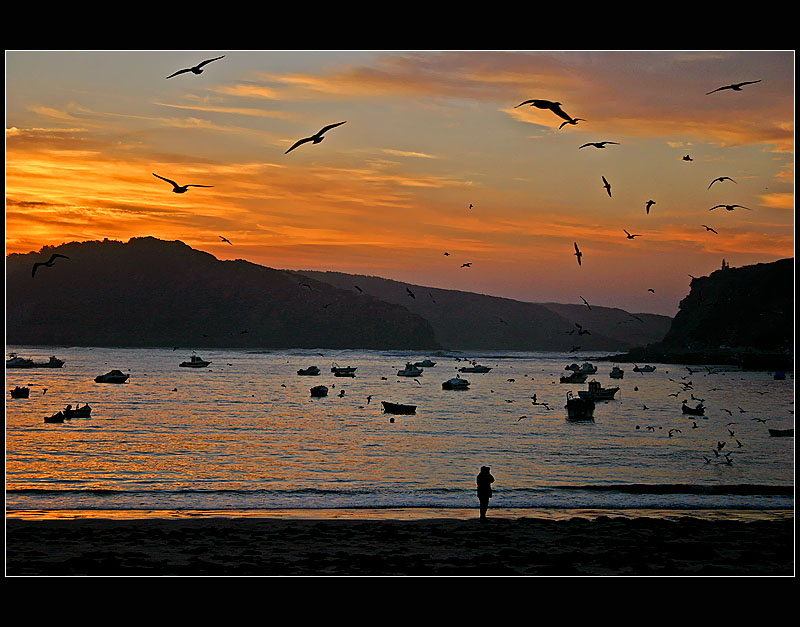 06.01.2005 ... Shooting seaguls - S. Martinho do Porto - Portugal