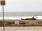 Going Nowhere Fast, Mission Beach, San Diego, California