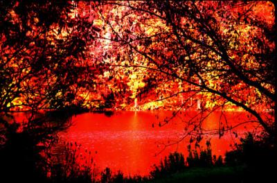 red pond.jpg