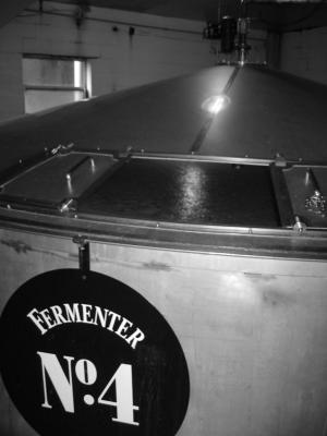 fermenter no.4