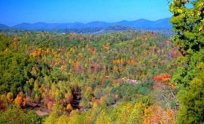 Pine Mountain Range