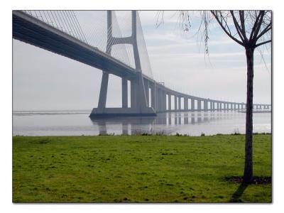 Ponte VGama.jpg