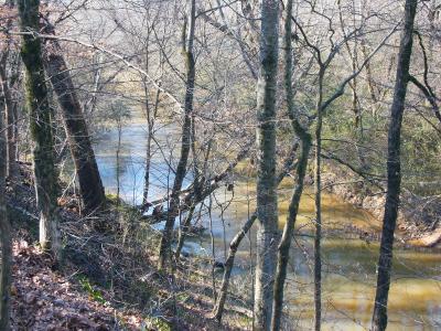 Creek view from the trail
