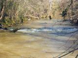 Suwanee Creek