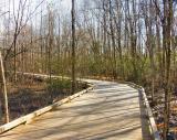 Hiking trail path