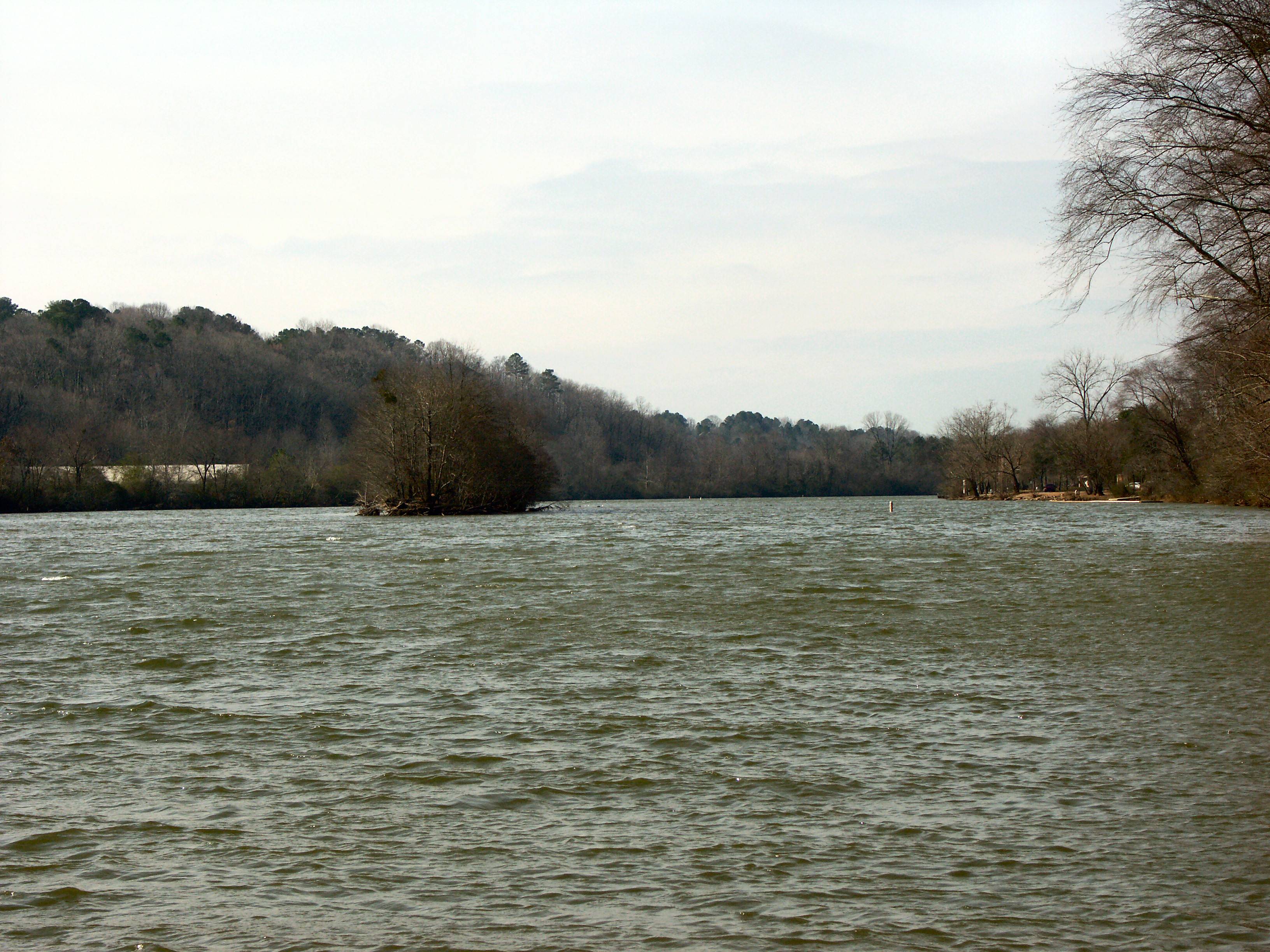 The Chattahoochee in Winter
