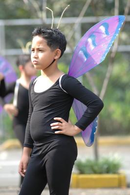 Where is my Fafa?